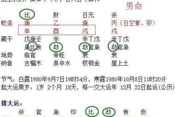 74年出生者命运解析——探索其性格与人生轨迹