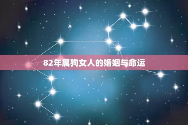 1966年属狗的命运与性格分析，揭示人生的秘密！