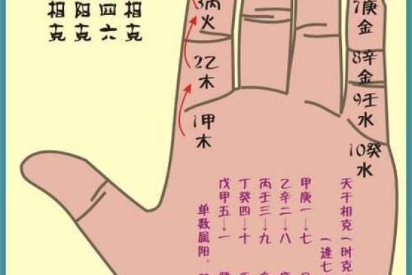 23号生日的命理解析：探索人格特质与未来发展之路