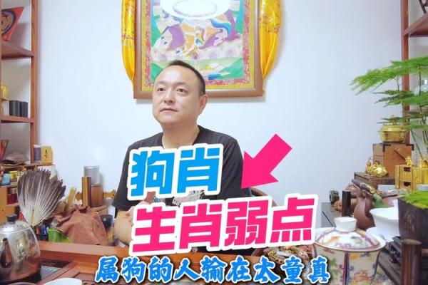 属狗人几月出生的命运解读及其性格特点