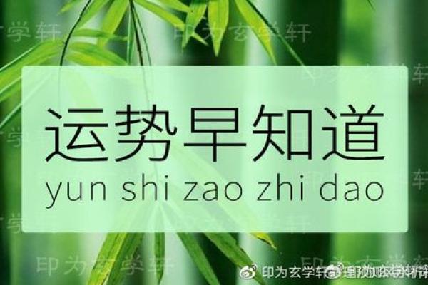 根据颜色选择，助力命理运势的秘密武器！