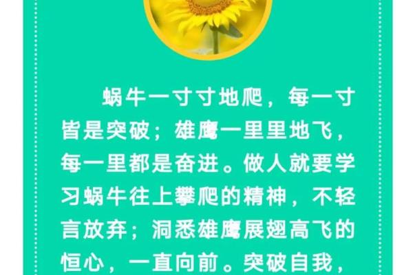 曾仕强：以命理学为镜，探寻人生真谛与智慧之源