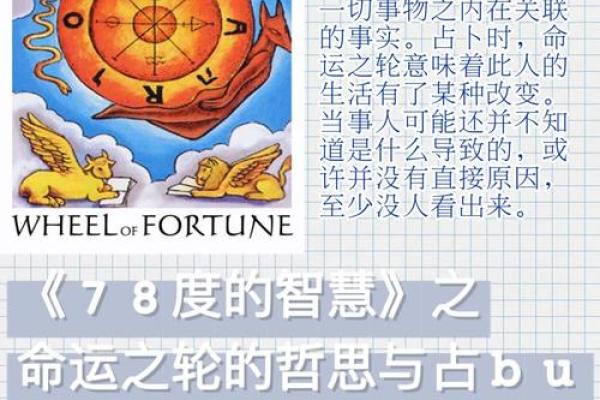 揭秘：48岁男人命运的多重面貌与生活智慧