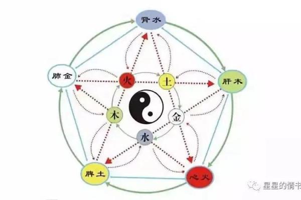 癸亥水命解析：揭示这个生肖背后的神秘特征与运势