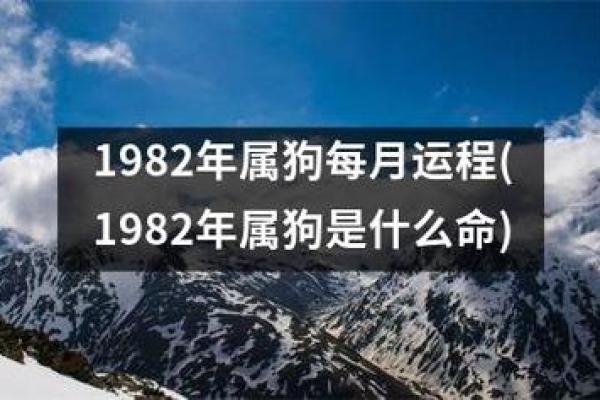 解读2006年属狗男孩的命运与性格特征