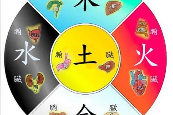 木命人士适合睡在哪个方向？探索五行与卧室风水之道！