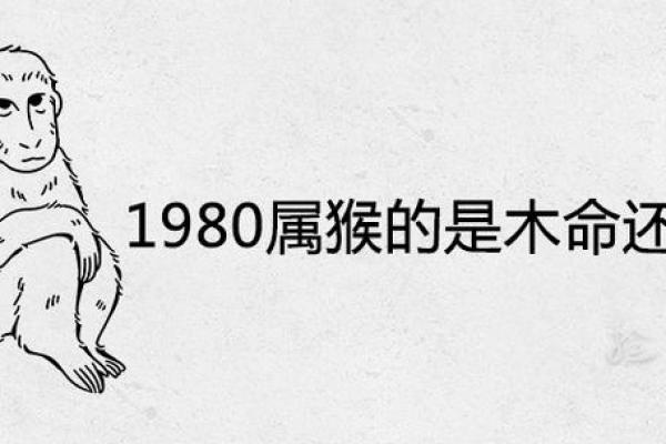 1968年属什么金命？解析金命的特质与韧性之道