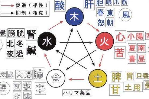 1988年出生男孩的命运解析：财富与人生的转折点