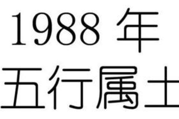 1988年出生男孩的命运解析：财富与人生的转折点