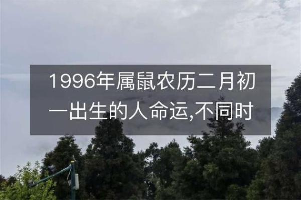 1996年属鼠：命运、性格与生活探讨