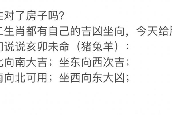 1995年出生的人属“猪”，命理解析与性格特点探秘