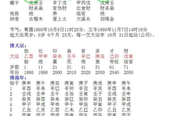 1993年出生的人命运解析：从八字看人生与运势的微妙关联