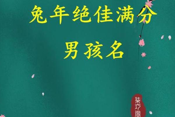 兔年出生的孩子命运解析：兔年带来的福气与挑战