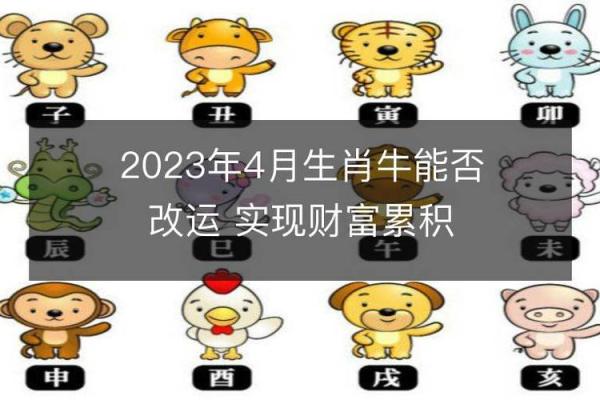 2023年12月出生的兔子命运解析：祥和与机遇齐飞的生肖运势