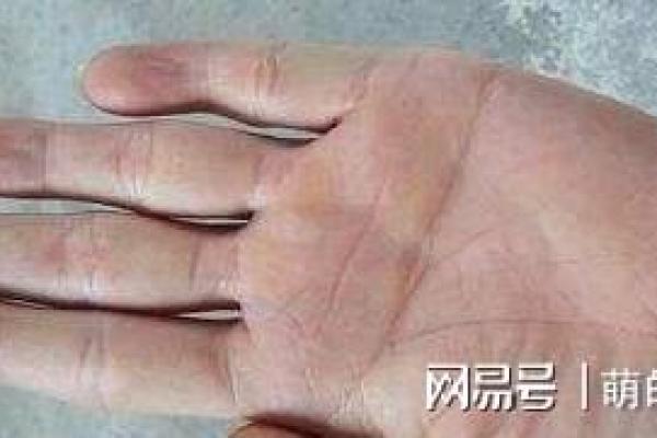 解密双断掌女人的命运：不一样的人生轨迹与性格特征