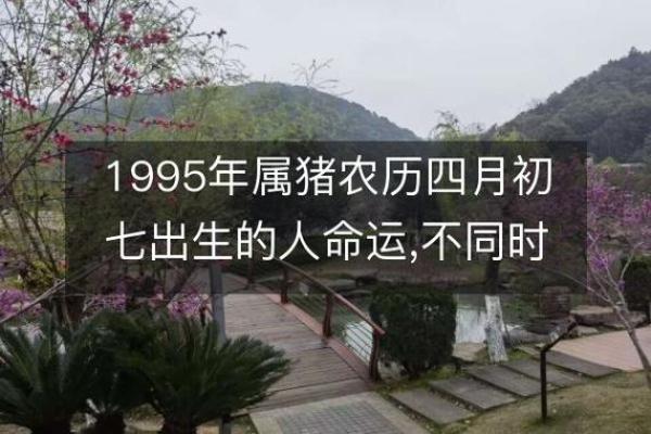 1995年出生的女性属猪，她们的命运与性格解析！