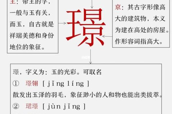 虎年男宝宝命运解析：个性、运势与养育之道