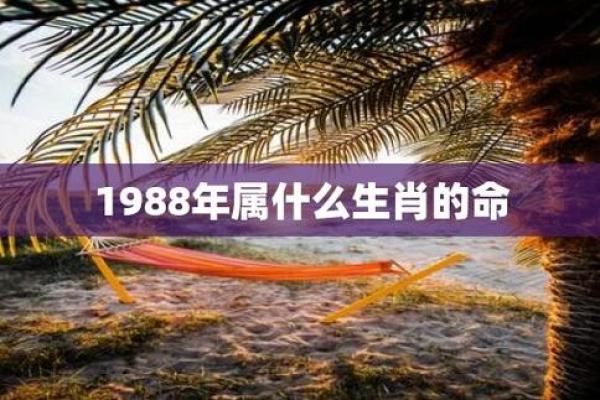 2000年出生的你，究竟是什么命运？探讨生肖与命理的秘密