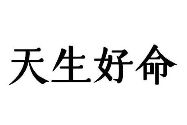 佛灯火命：命理中的光辉与指引之旅