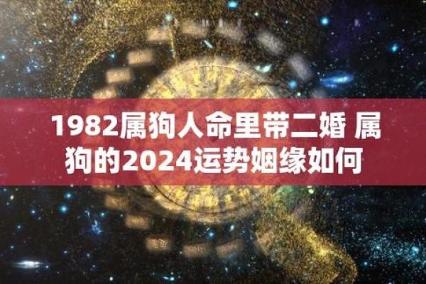 1982年出生的你，属于哪一命？探秘属狗的命运与性格！