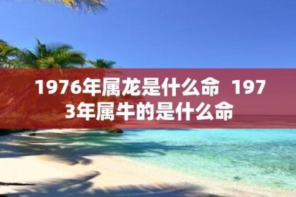 属牛1998年出生的人的命运解析与生活智慧