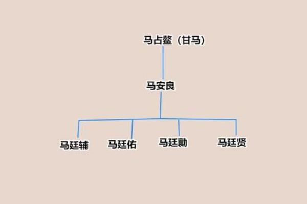 揭秘2014年马宝宝的命理特征与木命解析