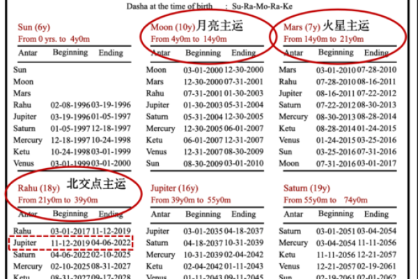 2004年命格分析：迎接人生转折的机遇与挑战