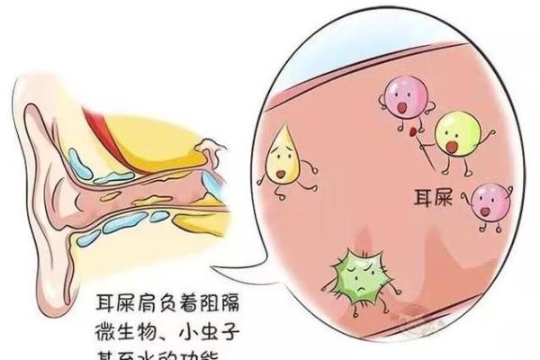 耳朵上有小洞的意义与命运解读：你不可不知的秘密