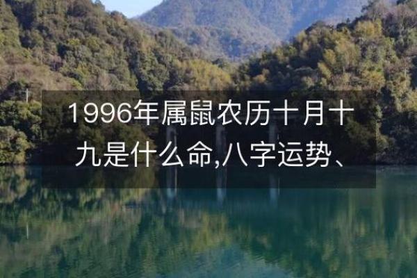 1984属鼠的命运与性格解析，让你更懂自己！