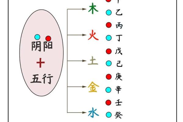 木命之人：生活中的注意事项与智慧分享