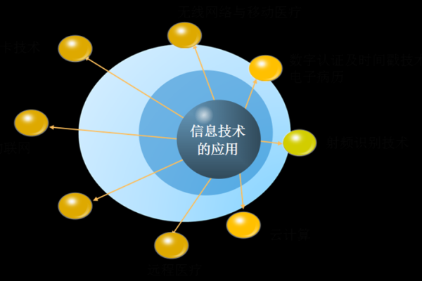 金命人适合从事的职业与发展方向探讨