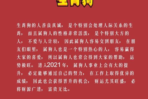 2023年，62年生肖揭秘：探索牛年命运与生活的奇妙关系