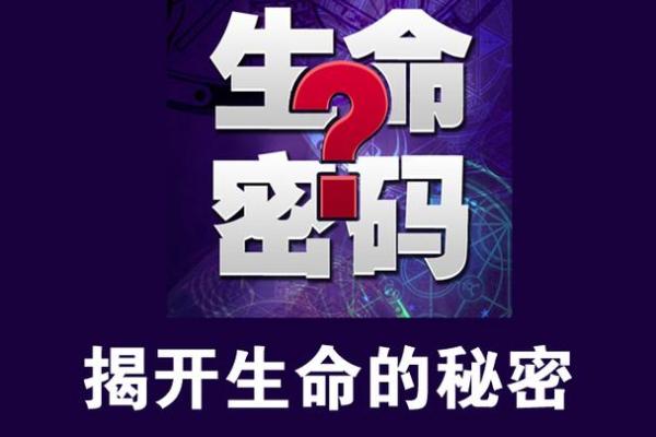 绝户命的人有什么特点？探寻命理背后的秘密与哲学思考