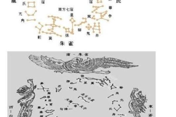 1969年狗鸡是什么命：命理与生活的深度解析