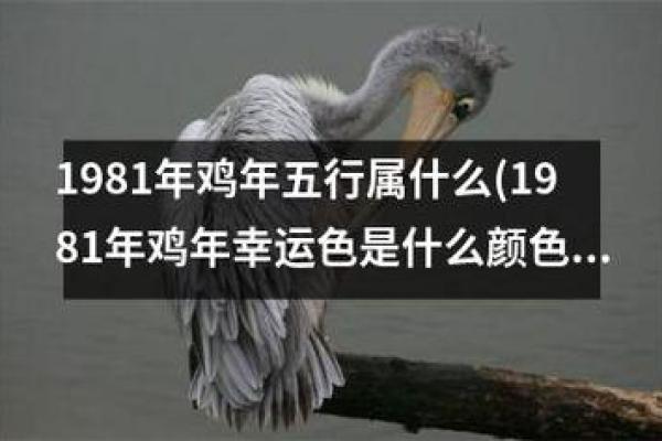 2006年的鸡年与命运：探究生肖鸡的神秘与寓意