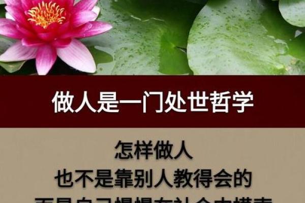 己卯女命的禄位解析与运势解析，揭示命理背后的智慧与人生旅程