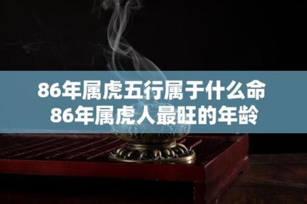 1994年属虎的命运与性格分析：揭秘老虎的神秘人生