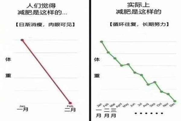 减肥改变命运：体重与人生轨迹的深刻关系