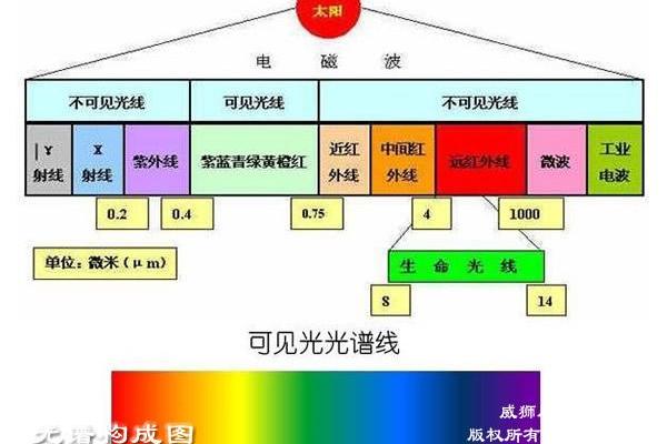 20056年6月14日的命运解析：探寻隐藏的生命奥秘