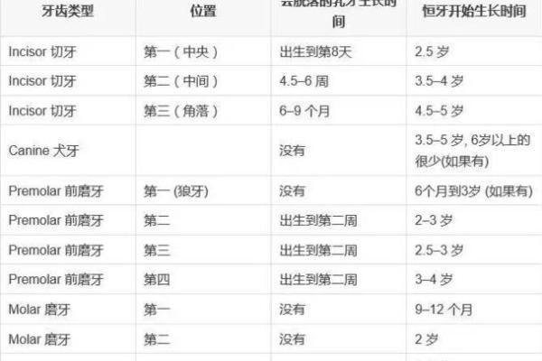 1991年出生的马：性格与命运的深度解析