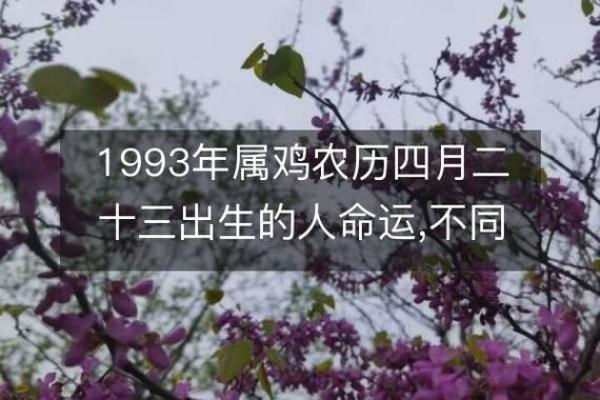 1982年鸡年出生的人命运解析与运势提升