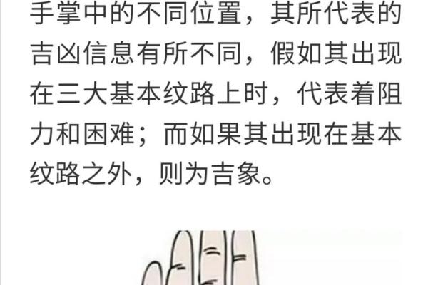 手指十螺纹的命运玄机：一探人生之路的命运之线