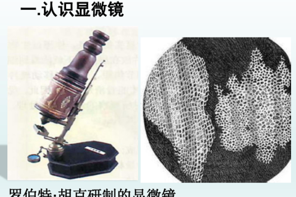 2004年9月7日出生的命运解析：探索生命的奥秘与可能性