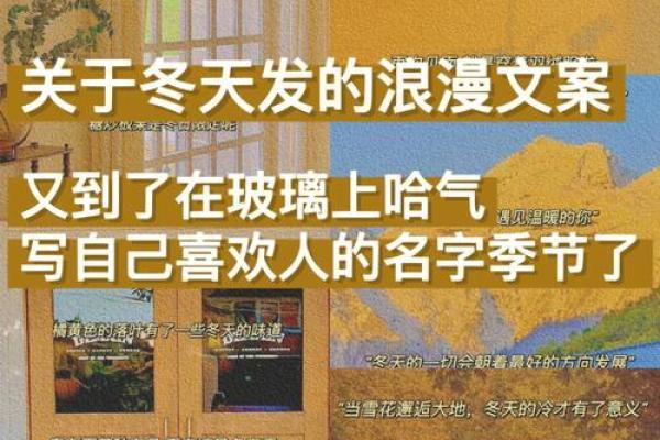 冬日出生：探索冬天命运的奥秘与启示