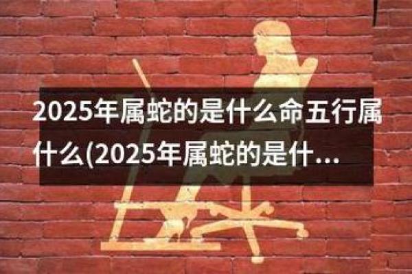 1977年属蛇，2023年命运解析与人生启示