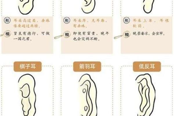 16年出生宝宝的命运解析：揭示他们的特点与未来趋势