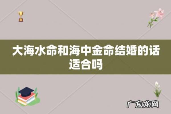 大海金命人士适合从事的职业及发展建议