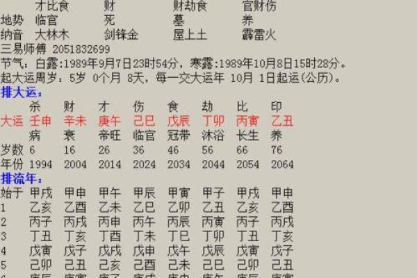 1995年乙亥年命运之探讨：属猪之人如何扬帆人生之海