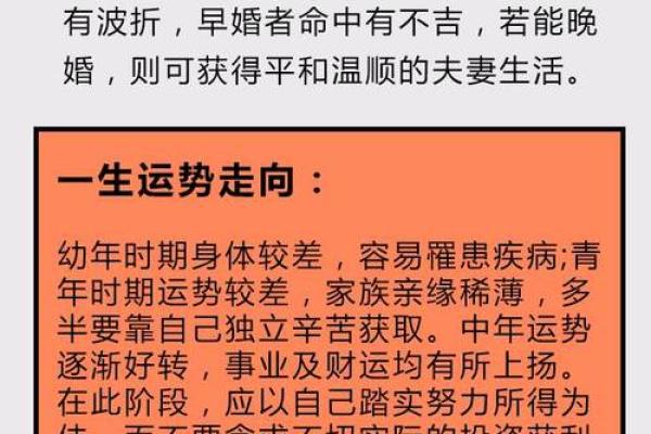 2014年属什么命：解读与运势分析，揭示生活中的玄机与机会