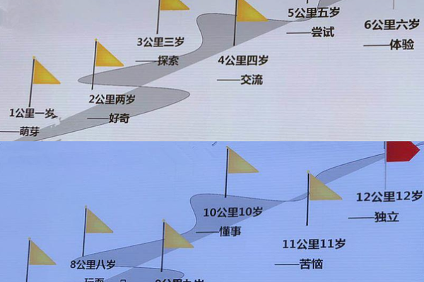 额头窄的人命运分析：揭示你的性格与人生轨迹